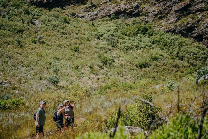 E-Bike and Hike Jonkershoek: Waterfall Trail from Stellenbosch Wine Country photo 4