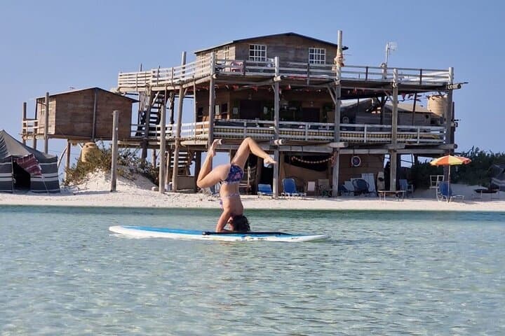 Road Trip to Bar Al Hakman: Oman’s Pink Lagoons and Birdwatching Escape
