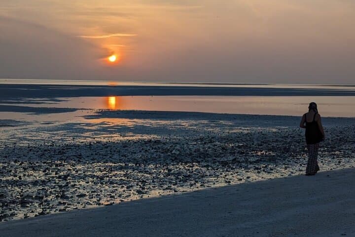 Road Trip to Bar Al Hakman: Oman’s Pink Lagoons and Birdwatching Escape photo 2