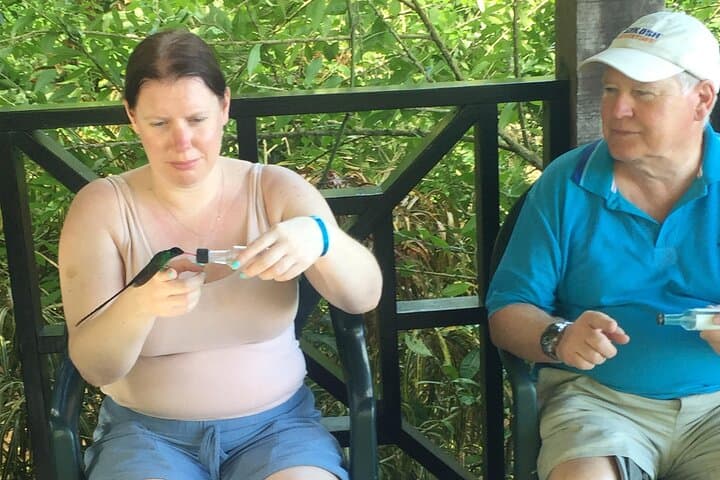 Rockland Bird Sanctuary Tour from Montego Bay — Feed Wild Hummingbirds in Lucea photo 2