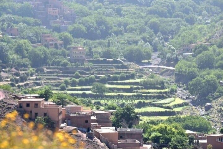 Imlil Valley Day Trip: Waterfalls, Berber Villages & Camel Ride from Marrakech