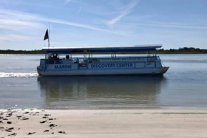 Discovery Dolphin Boat Tour: Indian River Lagoon Wildlife Cruise