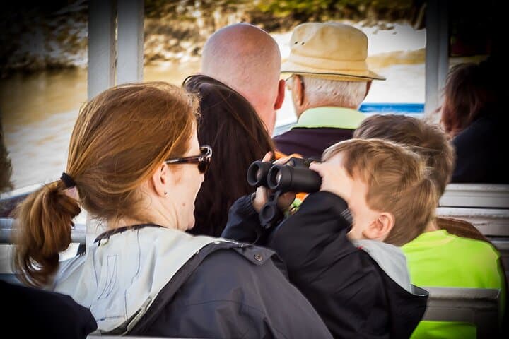 Discovery Dolphin Boat Tour: Indian River Lagoon Wildlife Cruise photo 4
