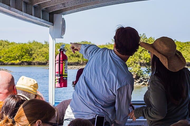 Discovery Dolphin Boat Tour: Indian River Lagoon Wildlife Cruise photo 2