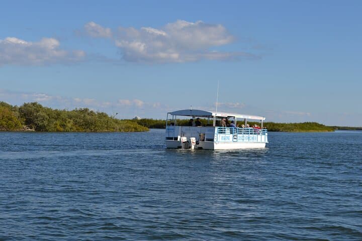 Discovery Dolphin Boat Tour: Indian River Lagoon Wildlife Cruise photo 3