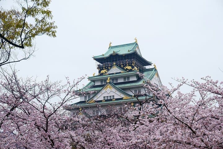 Customizable Osaka Historical Full-Day Walking Tour | Private Guide & Flexible Itinerary photo 2