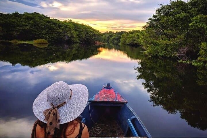 Glide Through Guatemala’s Chiquimulilla Mangroves on an Artisanal Boat Tour photo 4