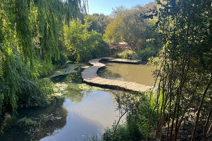 Tricao Park to Isla Negra Day Tour — Aviaries, Neruda House & Beach Lunch photo 2