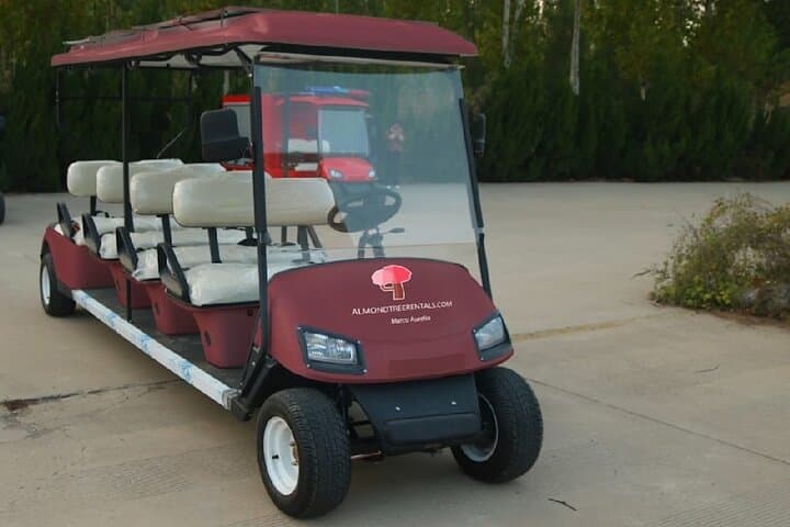 Rome on Wheels: Golf Cart Tour from Vatican to Piazza Navona