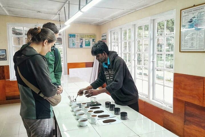 Haputale Tea Plantation Tour: Tea Factory Visit, Plucking & Village Lunch photo 1