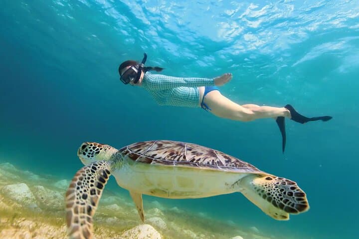 Jungle ATV, Cenote Dip and Akumal Sea Turtle Snorkel