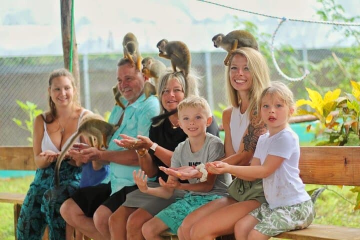 Monkey Magic & City Views — Puerto plata Private Tour