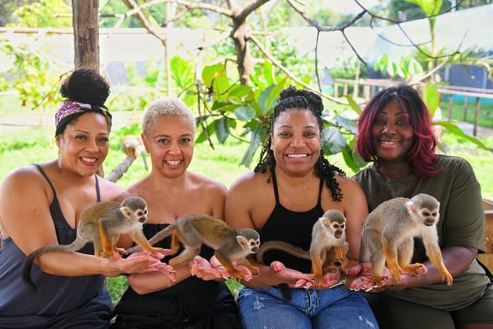 Monkey Magic & City Views — Puerto plata Private Tour photo 3