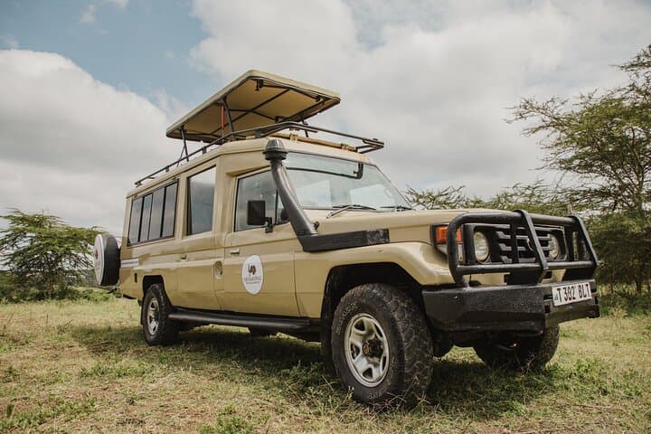 Two-Day Midrange Safari: Tarangire & Ngorongoro From Arusha