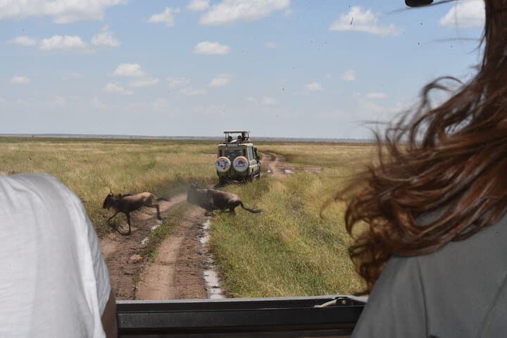 Two-Day Midrange Safari: Tarangire & Ngorongoro From Arusha photo 3