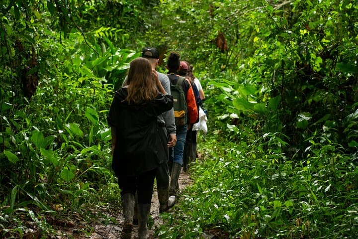 Explore Phuket Landmarks and Rainforest Hike: Big Buddha, Wat Chalong & Khao Phra Thaeo