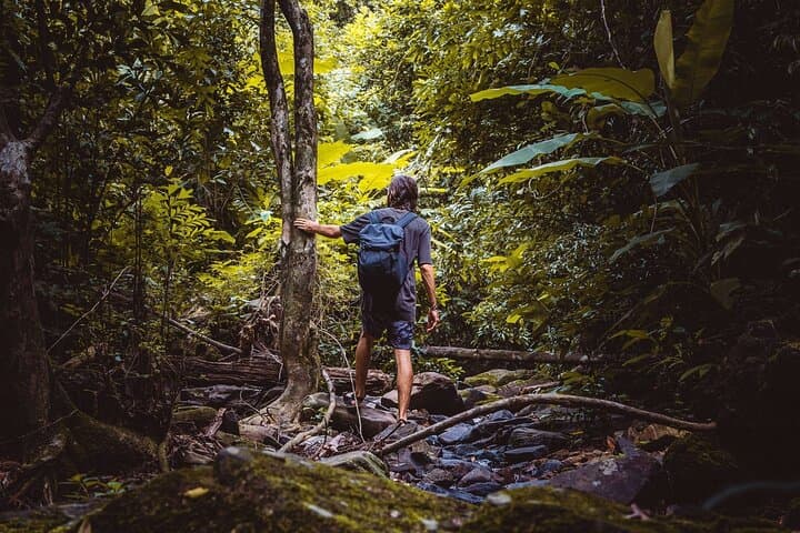 Explore Phuket Landmarks and Rainforest Hike: Big Buddha, Wat Chalong & Khao Phra Thaeo photo 3