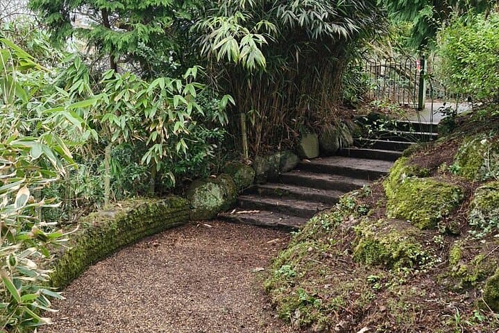 Holistic Belfast Walking Tour — Botanic Gardens, Ulster Museum & Linen Quarter