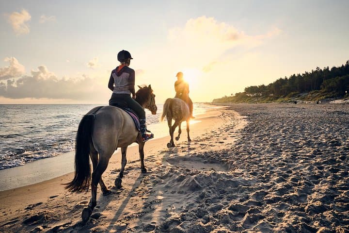 Private Horseback Ride Through Papagayo Dry Forest — Pura Vida Farm Ride photo 1