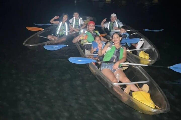 Paddle Mosquito Bay: Vieques Bioluminescent Kayak Night Tour photo 6