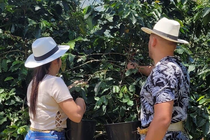 Horseback Coffee Farm Experience near Medellín: Ride, Learn, Taste photo 6