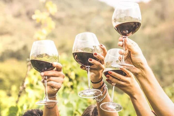 Private Cape Town Wine Tasting Tour: Stellenbosch & Franschhoek Day Trip with Hotel Pickup photo 2