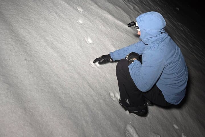 Starlit Adventure in Vikran: Tromsø Northern Lights Bonfire Hike photo 3