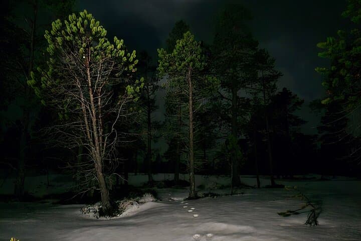 Starlit Adventure in Vikran: Tromsø Northern Lights Bonfire Hike photo 4
