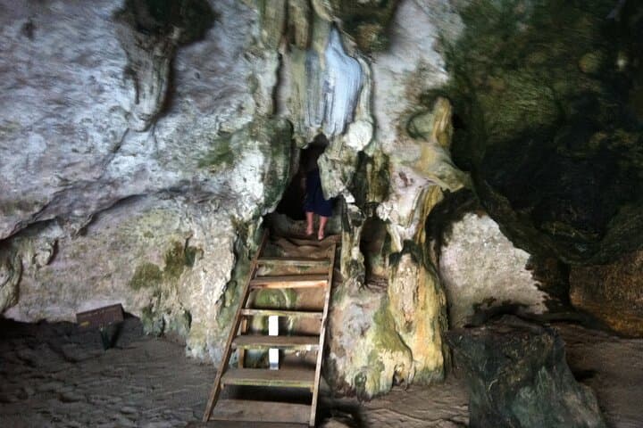 Boat Tour to Los Haitises & El Limón Waterfall from Punta Cana photo 5