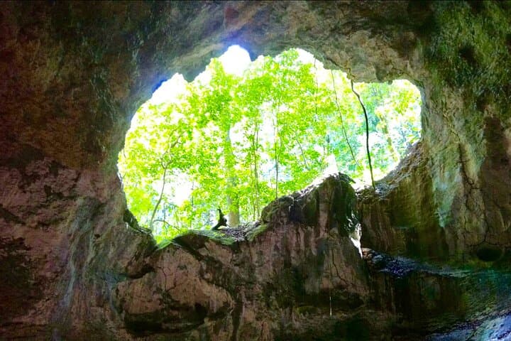 Los Haitises and Cayo Levantado Day Trip from Samaná — Mangroves, Caves & Beach photo 2