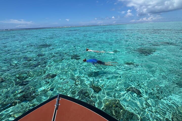 Bora Bora Eco Snorkel: Half-Day Lagoon Tour with Rays & Reefs photo 5