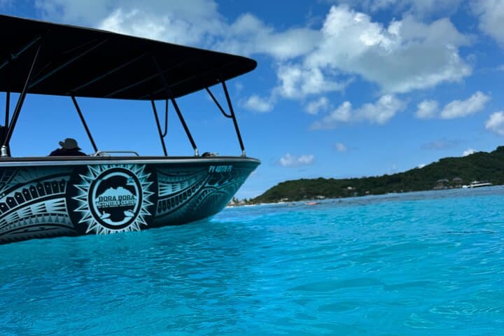 Bora Bora Eco Snorkel: Half-Day Lagoon Tour with Rays & Reefs photo 6