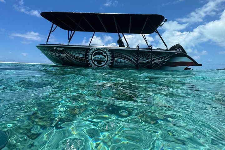Bora Bora Eco Snorkel: Half-Day Lagoon Tour with Rays & Reefs photo 3