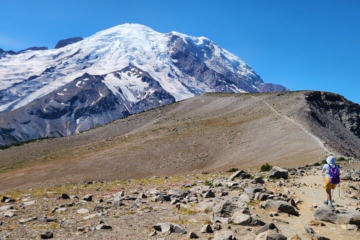 Sunrise to Burroughs: Mount Rainier 6-Mile Day Hike