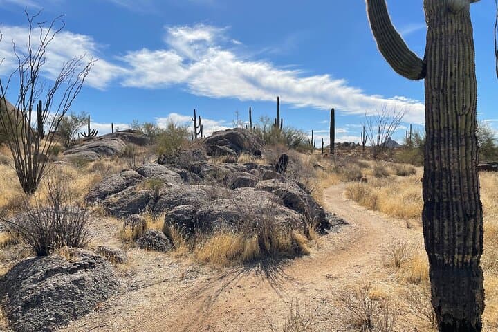 Sonoran Desert Private Guided Hike — 2-Hour Scottsdale Trail Tour photo 3