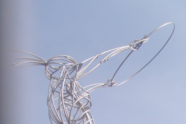 Holistic Belfast Walking Tour — Botanic Gardens, Ulster Museum & Linen Quarter photo 4