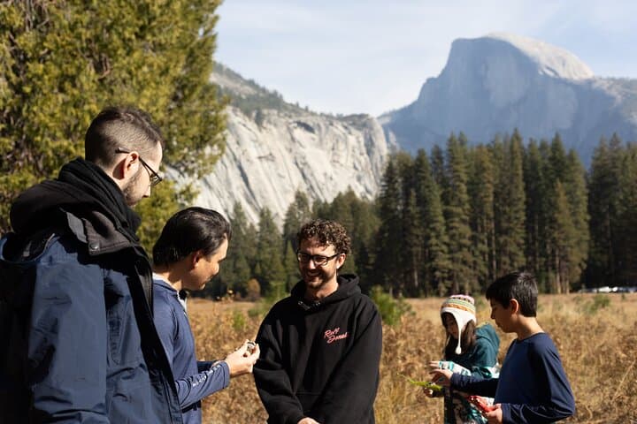 Evolution of Yosemite: 3-Hour Naturalist Walking Tour in Yosemite Valley photo 3