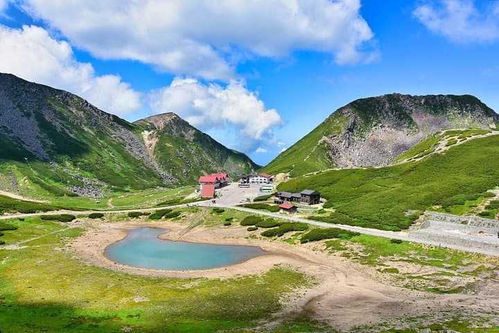 Takayama to Mt. Norikura: Alpine Flowers & Panoramic Peaks Day Trip
