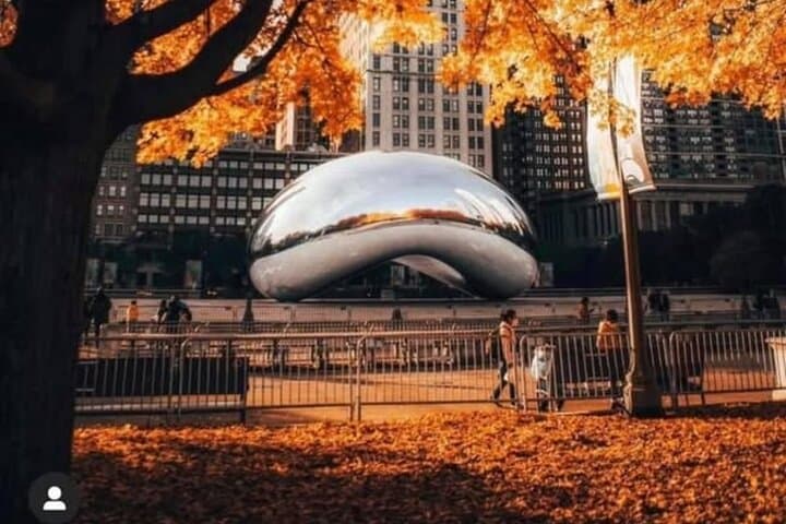 Chicago in a Day: Local-Led Highlights & Food Tour photo 2