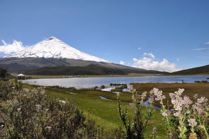 Cotopaxi Day Trip: Horseback Ride and Hike to José Rivas Refuge from Quito