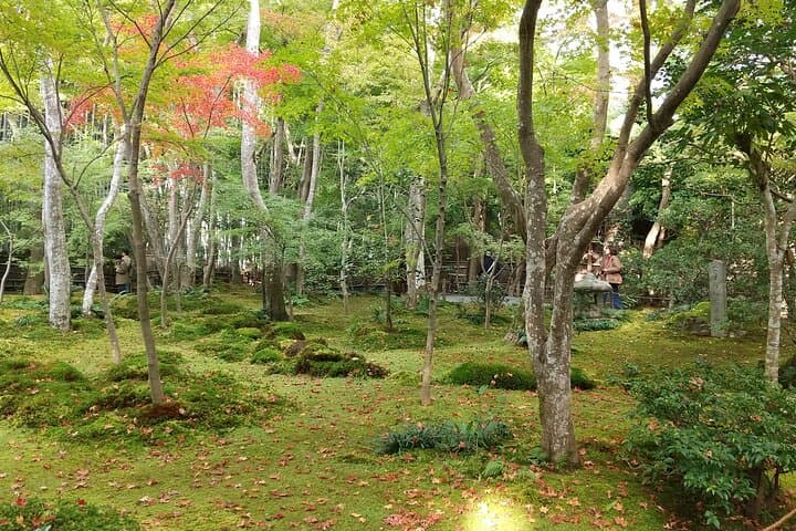 Quiet Arashiyama and Sagano Temples Guided Tour — Off-Peak Temple Walk in Kyoto photo 2