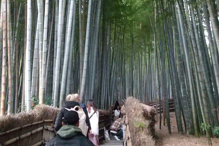 Quiet Arashiyama and Sagano Temples Guided Tour — Off-Peak Temple Walk in Kyoto photo 5