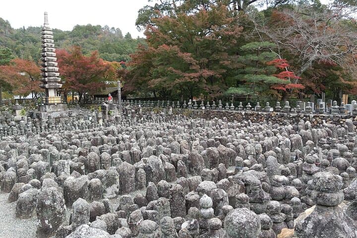 Quiet Arashiyama and Sagano Temples Guided Tour — Off-Peak Temple Walk in Kyoto photo 6
