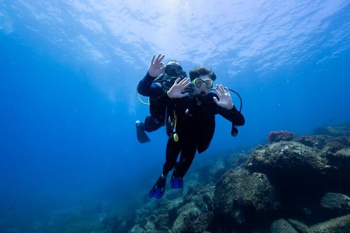 Try Scuba Diving at Cook Island — Guided Ocean Dive with Turtles (Gold Coast) photo 3