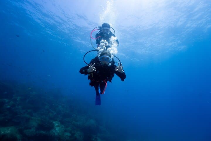 Try Scuba Diving at Cook Island — Guided Ocean Dive with Turtles (Gold Coast)
