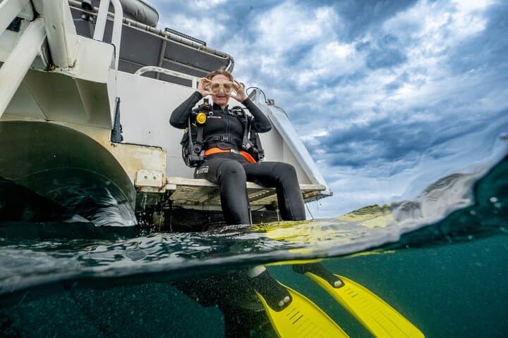 Try Scuba Diving at Cook Island — Guided Ocean Dive with Turtles (Gold Coast) photo 6