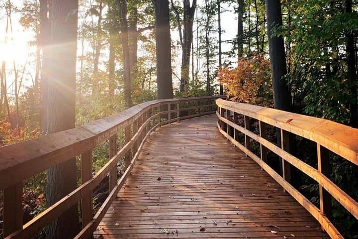 Rattray Marsh Nature Escape: Guided Walks Along Lake Ontario's Last Coastal Wetland