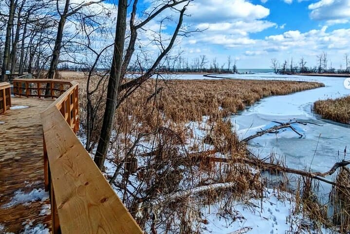 Rattray Marsh Nature Escape: Guided Walks Along Lake Ontario's Last Coastal Wetland photo 2