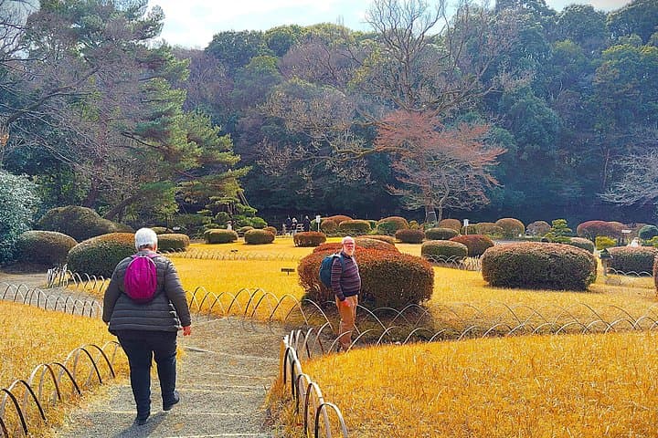 Inside Meiji Jingu: Private 2-Hour Shrine & Shinen Garden Walk in Harajuku photo 3