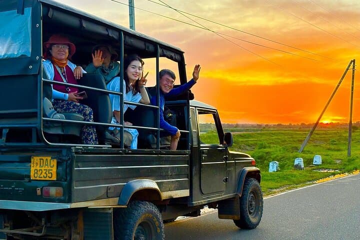 Yala National Park Full-Day Leopard Safari — Spot Sri Lanka's Elusive Leopard